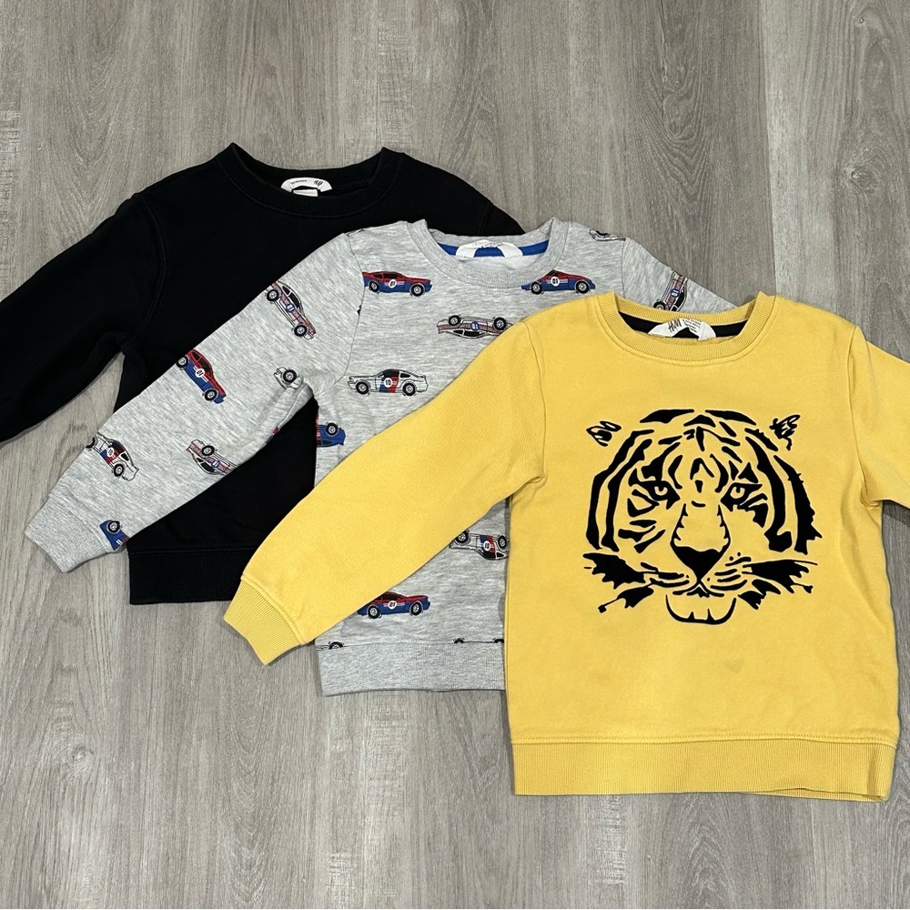 H&M: Boy’s Sweatshirts (Size: 4-6)